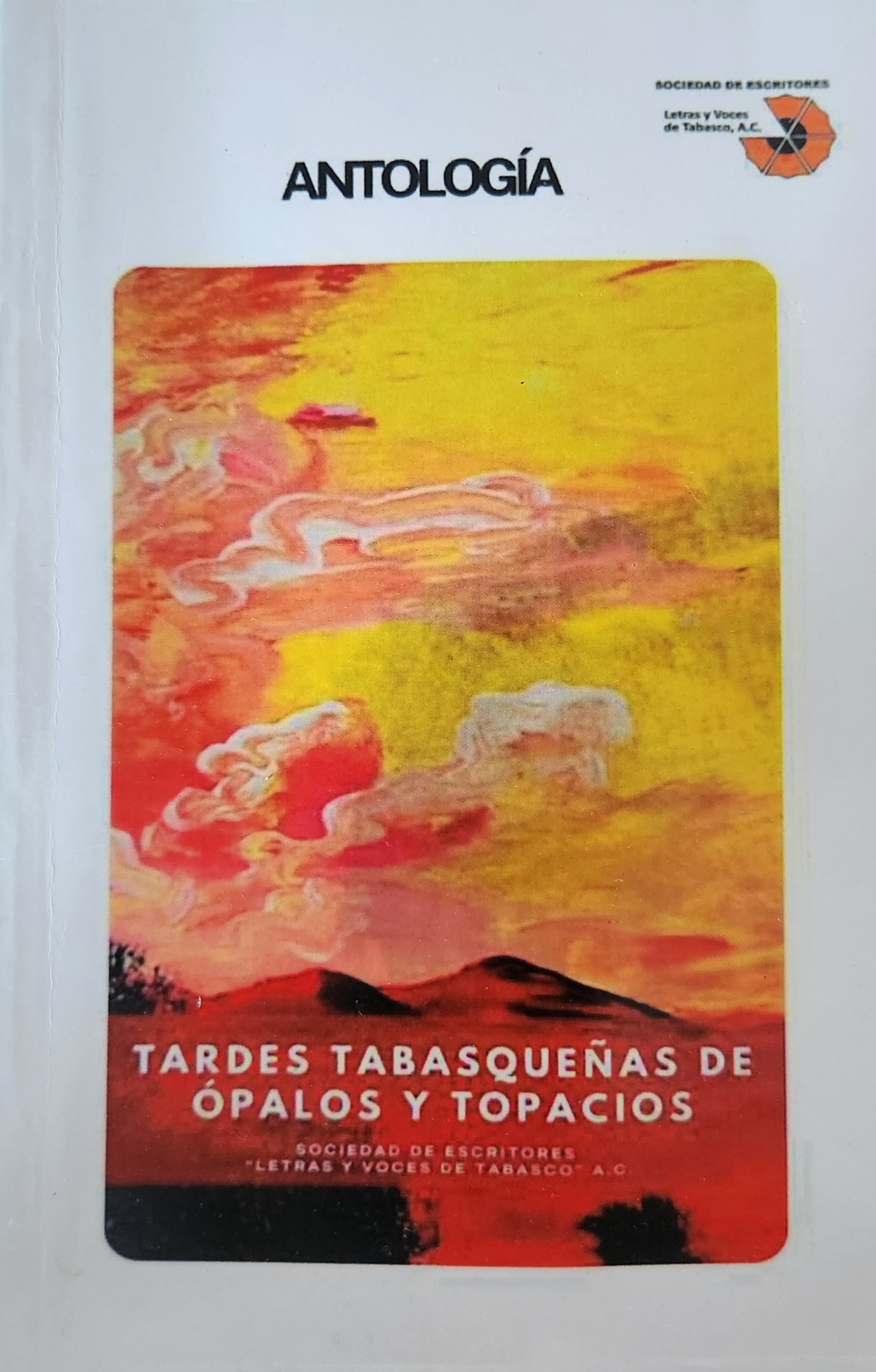 Tardes Tabasqueñas